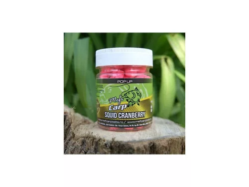 MEFI Pop Up Squid Cranberry 14mm 30gr
