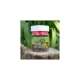 MEFI Pop Up Squid Cranberry 14mm 30gr
