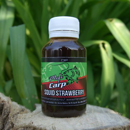 MEFI Dip Strawberry 100ml