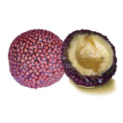 LK Baits Nutrigo Pellets Chilli Halibut, 250ml, 24mm
