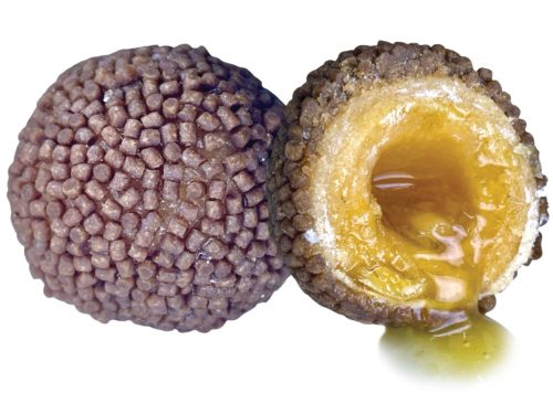 LK Baits Nutrigo Pellets Romadur Halibut, 250ml, 24mm