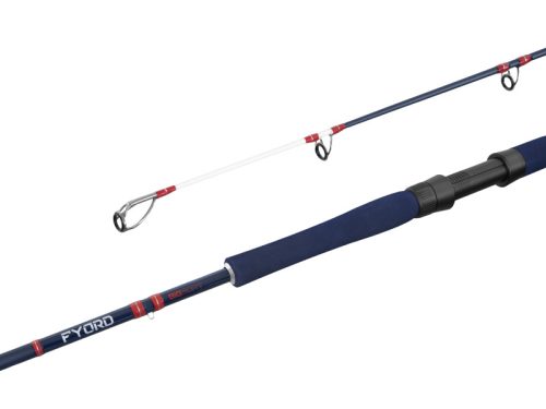 Delphin FYORD BigBOAT 220cm/300-400g/2rész