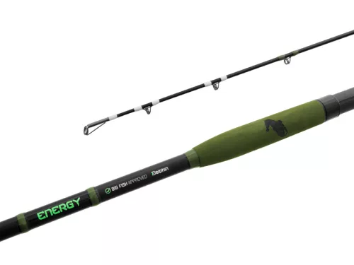 Delphin ENERGY Catfish 250cm/250-500g/2 rész