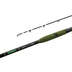 Delphin ENERGY Catfish 280cm/250-500g/2 rész