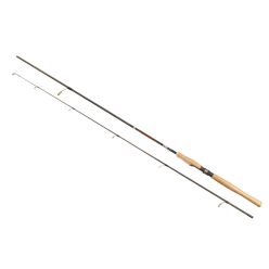 ARNO VICTORY CARBON SPINNING 3-15G(8’*2)
