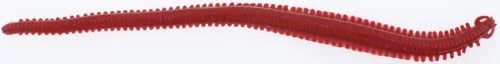 Berkley GASHPNE6-BY GA HLFP NEREIS 6 BLOODY