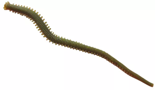 Berkley GASHPNE6-C GA HLFP NEREIS 6 CAMO