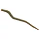Berkley GASHPNE6-C GA HLFP NEREIS 6 CAMO