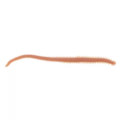 Berkley GASHPNE6-NAT GA HLFP NEREIS 6 NATURAL
