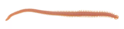 Berkley GASHPNE6-NAT GA HLFP NEREIS 6 NATURAL