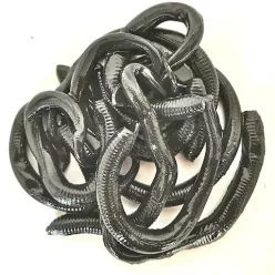 Berkley EGNC6-BLK NIGHTCRAWLER 6IN BLACK MŰNADÁLY