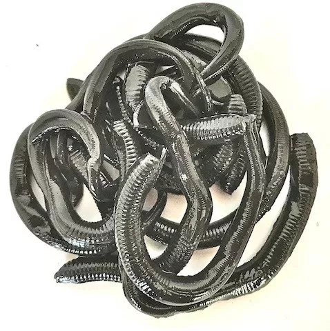 Berkley EGNC6-BLK NIGHTCRAWLER 6IN BLACK MŰNADÁLY
