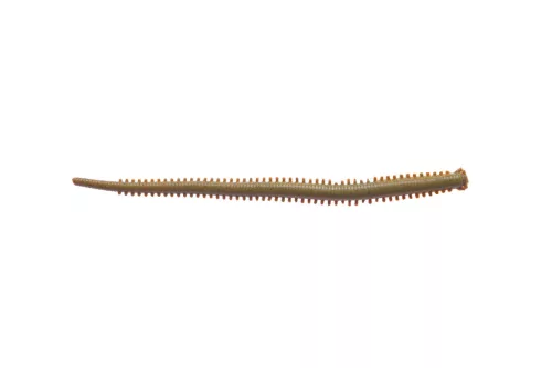 Berkley G2SQIF4-MOR 4ISOME FUTOMI-GOKAI