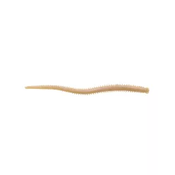 Berkley G2SQIF4-NAT 4ISOME FUTOMI-JARIME
