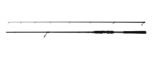 Savage Gear DEFIANCE SG4 INSHORE 3.05M/12-46G 2P