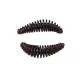Berkley PWRBT PWR Pupa 35mm Trout Pellet