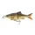 Savage Gear 3D GLIDE ROACH 23CM/170G HORNY BREAM