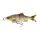 Savage Gear 3D GLIDE ROACH 23CM/170G HUGO