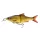 Savage Gear 3D GLIDE ROACH 23CM/170G CL RUDD