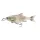 Savage Gear 3D GLIDE ROACH 23CM/170G GHST ROACH