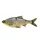 Savage Gear 3D LT ROACH 25CM 206G SS HUGO
