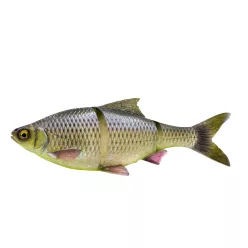 Savage Gear 3D LT ROACH 25CM 216G S HUGO