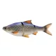 Savage Gear 3D LT ROACH 25CM 216G S BLUE ROACH
