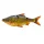 Savage Gear 3D LT ROACH 25CM 206G SS CLEAR RUDD