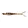 BERKLEY Cullminnow 7.5cm 8pcs Brown Perch