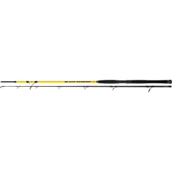   Black Cat 2,70m Black Passion G2 Spin Testcurve: 50-200g S: 323g