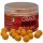 STARBAITS POP UP Crayzi Fruit 50g 14mm