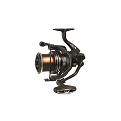 CARP EXPERT SCORE METHOD 5500