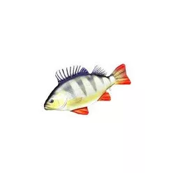 HALAS PÁRNA SÜGÉR BABY 32CM