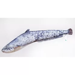 HALAS PÁRNA HARCSA BABY 62CM