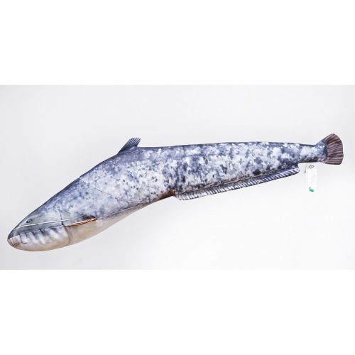 HALAS PÁRNA HARCSA BABY 62CM