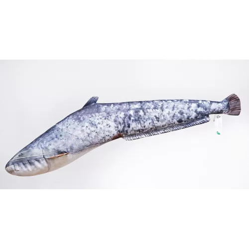 HALAS PÁRNA HARCSA BABY 62CM