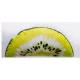 PÁRNA KIWI  - QUARTER  37X17CM