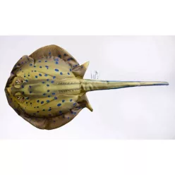 HALASPÁRNA  KÉKPETTES TÜSKÉSRÁJA 85CM