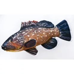 HALASPÁRNA  BARNA FŰRÉSZESSÜGÉR 100CM