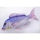 HALASPÁRNA  FOGASDURBINCS80CM