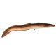 HALASPÁRNA ANGOLNA 115CM