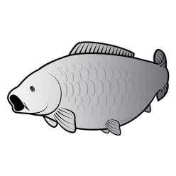 Öntapadó ponty SILVER 