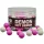 Starbaits POP UP Bright Hot Demon 50g 16mm