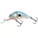 SALMO WOBBLER HORNET H6F SBS