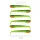 NEVIS Impulse Shad 6.3cm 6db/cs (Watermelon)  