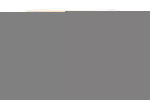 BENZAR RAPID METHOD PELLET MÉZ&ANANÁSZ 3,5MM 600GR