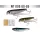 HERAKLES WT-DOG 60 6cm 4gr Blue Fish