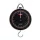 Fox Dial Scales 60lb 27kg
