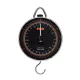 Fox Dial Scales 120lb 54kg