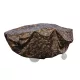 Large Camolite Barrow Cover (10k)